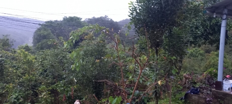 CẦN BÁN LÔ ĐẤT SIÊU ĐẸP CHÂN ĐÈO MIMOSA PHƯỜNG 10, TP ĐÀ LẠT, GIÁ 48 TỶ