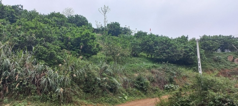 Chính chủ bán lô đất 2.400.000m (240HA) tại Chương Mỹ. Giá 160 tỷ.