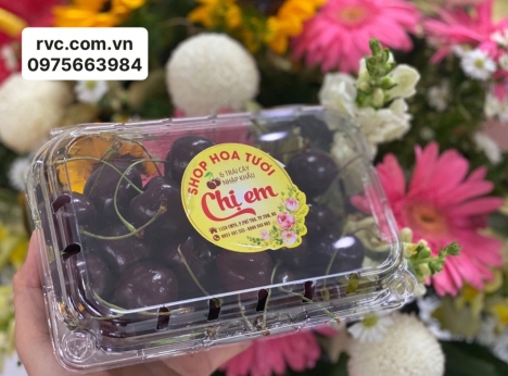 Bán hộp nhựa đựng cherry giá rẻ, uy tín nhất tại HCM