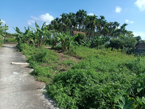 ✅  lô gốc 512m2 mặt đường tân lập tân thành dương kinh 7,xx tỷ