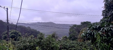 CẦN BÁN LÔ ĐẤT SIÊU ĐẸP CHÂN ĐÈO MIMOSA PHƯỜNG 10, TP ĐÀ LẠT, GIÁ 48 TỶ