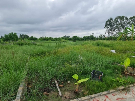 ✅  ngõ 332 tư thủy 61,6m giá 6xx tr  hòa nghĩa dương kinh