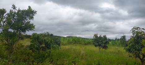 Cần bán lô đất đẹp ở Tân Thành Đức Trọng Lâm Đồng giá 25 tỷ