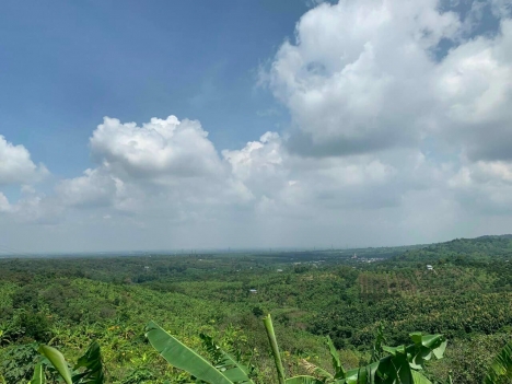 Bán 1000m2  Đất vườn xã Bàu Hàm , Huyện Thống Nhất, Đồng Nai