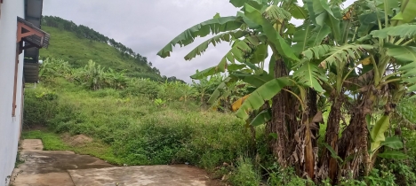 Cần bán lô đất đẹp ở Tân Thành Đức Trọng Lâm Đồng giá 25 tỷ