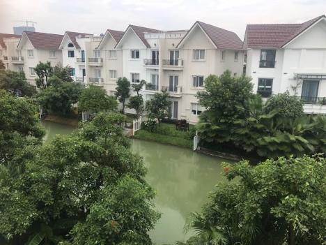 Cần cho thuê biệt thự trong khu Hoa sữa 11 giá 40tr/th