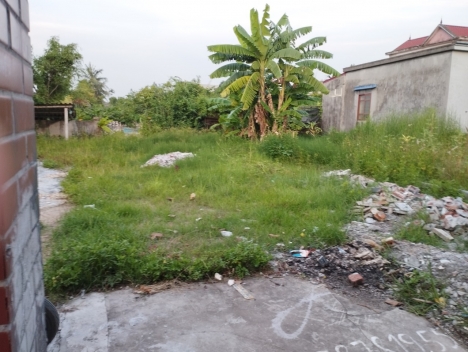 siêu phẩm ngõ 196 hải phong  hòa nghĩa dương kinh  hải phòng