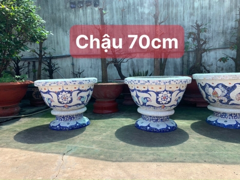 Chậu hoa _ chậu cảnh _ chậu hoa dán miễng , ghép sành sứ _ chậu to khủng
