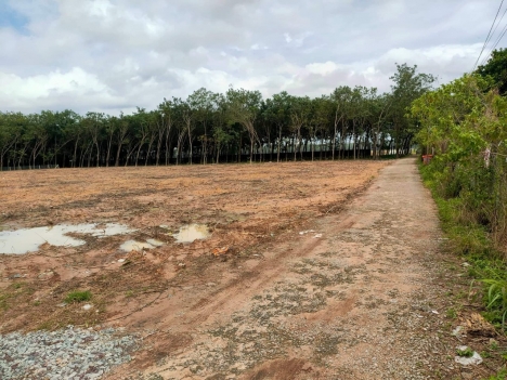 TRỤC ĐƯỜNG CHÍNH  CHÁNH PHÚ HÒA - VĨNH TÂN-KCN VSIP II