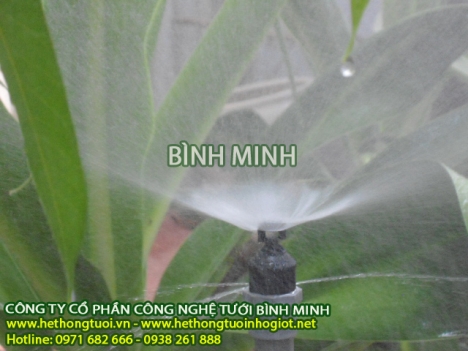 Vòi tưới phun sương, vòi phun sương mù, hệ thống tưới phun sương cho rau, phun sương làm mát xưởng