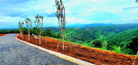 DỰ ÁN ĐẤT NỀN NGHỈ DƯỠNG TP BẢO LỘC