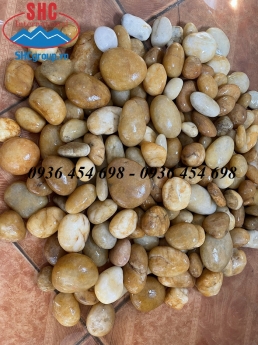 Sỏi vàng tự nhiên trang trí góc vườn