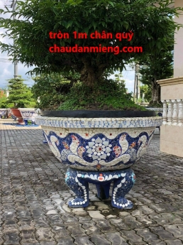Chậu hoa _ chậu cảnh _ chậu hoa dán miễng , ghép sành sứ _ chậu to khủng