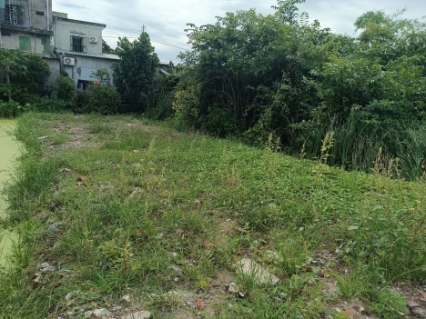 đg 6m tuyến 2 hợp đức đồ sơn cách  mặt đg  353  100m  hải phòng