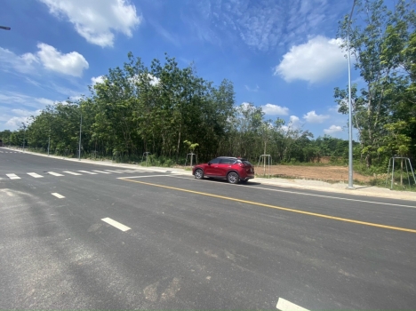 CHÍNH CHỦ NHƯỢNG LẠI CÁC LÔ ĐẤT ĐƯỜNG THÔNG TẠI KCN MỸ PHƯỚC 3&4 - BẾN CÁT - BÌNH DƯƠNG