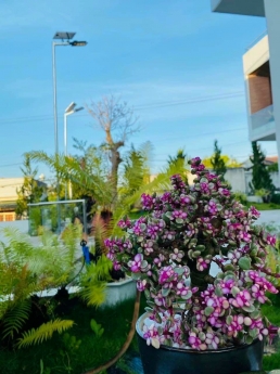 Cần bán căn biệt thự nghỉ dưỡng Đà Lạt ở KQH An Sơn, Phường 4, TP. Đà Lạt, giá 15,5 tỷ