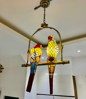 Giao lưu vài ba em vẹt đèn thả