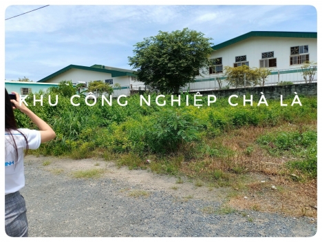ĐẤT SÁT VÁCH KCN CHÀ LÀ, CAM KẾT LN 20%/NĂM, SHR