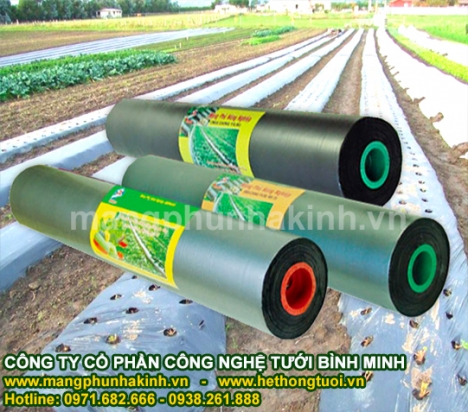 Màng phủ ni lông, báo giá màng phủ nông nghiệp, giá bạt phủ nông nghiệp, màng phủ luống