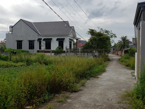 lô cẩm tú