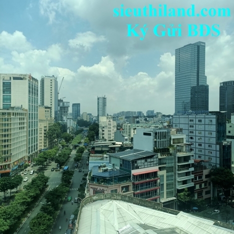 Cần bán gấp lô đất 53000m2 Hàm Thuận Bắc, Bình Thuận.