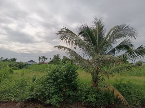 ngang 17m đg 22m mặt đg trung nghĩa đồ Sơn  1,x tr m