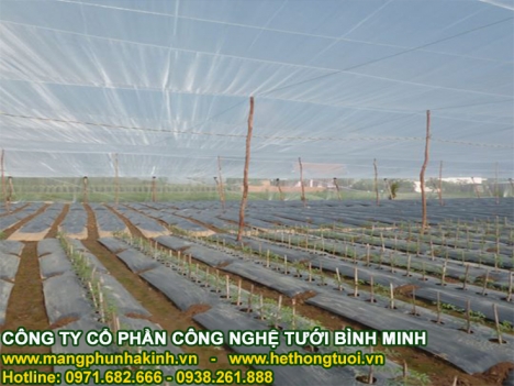 Lưới chống côn trùng,lưới chống côn trùng nông nghiệp,lưới chắn côn trùng trồng rau sạch