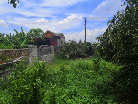 Hoa hậu Bán nhanh  Chính chủ bán đất Chín Thượng, Lan Mẫu, Lục Nam, Bắc Giang ô tô tránh
