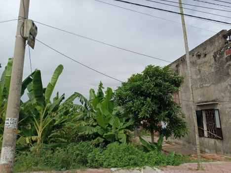 ngang 17m mặt đg minh tiến hợp đức  đồ Sơn  1,x tr m
   ngang 17m mặt đg minh tiến hợp đức  đồ Sơn