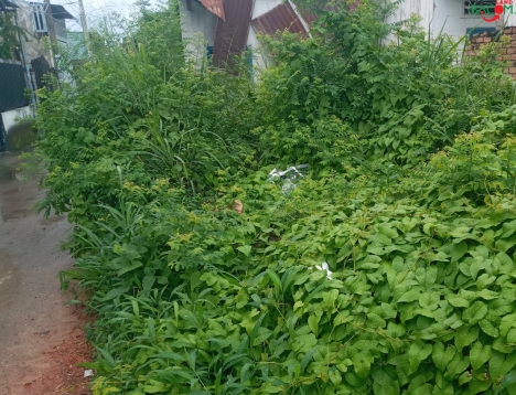 Bán gấp lô đất 10*24m đg oto thông Nguyễn Văn Tiên, p. Tân Phong, chỉ 3,45 tỉ