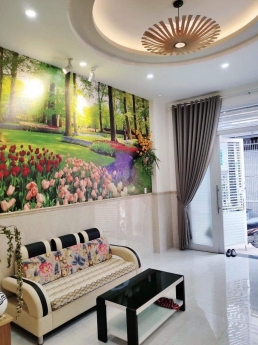 BÁN NHÀ ĐƯỜNG PHẠM VĂN CHIÊU PHƯỜNG 9 QUẬN GÒ VẤP