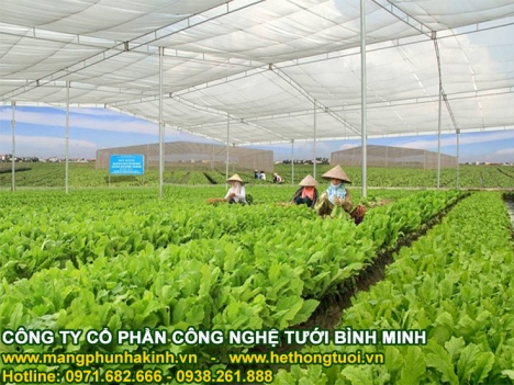 Lưới chống côn trùng,lưới chống côn trùng nông nghiệp,lưới chắn côn trùng trồng rau sạch
