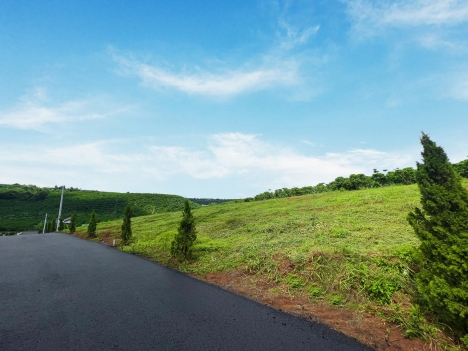 Đất nền Lộc Đức ngay nhà thờ Lê Bảo Tịnh , giá chỉ 1tr6/m2 , ngay khu dân cư đông đúc .