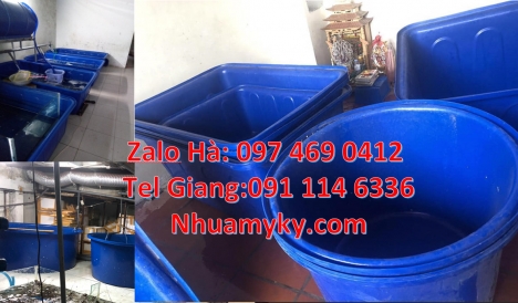 Thùng nhựa tròn 2000L, bồn nhựa 1000l, Thùng nhựa dung tích lớn, thùng nuôi cá, thùng đựng hạt th
