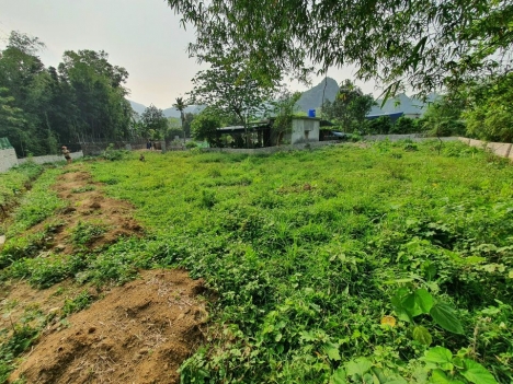 NHỈM TỶ CÓ NGAY LÔ 1000M ĐẤT LƯƠNG SƠN HÒA BÌNH VIEW THOÁNG LƯNG DỰ NÚI