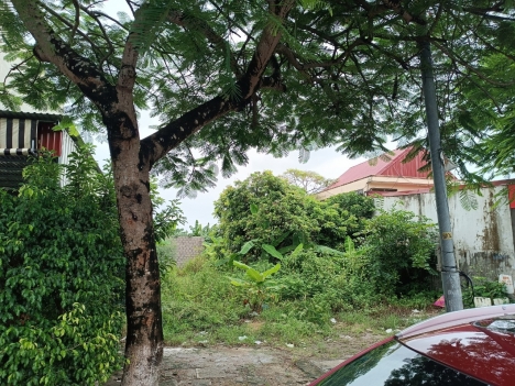 chủ cắt lỗ giá mêm bán  lô mặt đg 353 hợp đức  đồ Sơn  3,x tr m