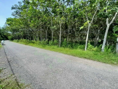 CHÍNH CHỦ - BÁN ĐẤT ĐỒNG NAI - MỞ SPA & NAIL CHO VỢ CON