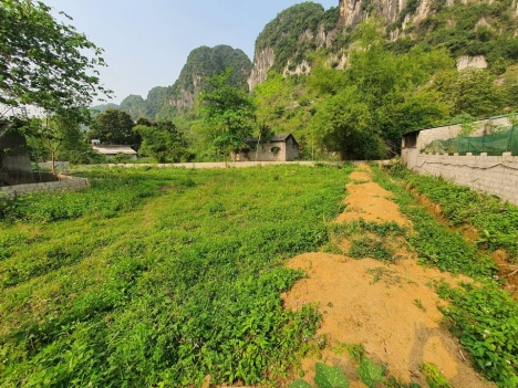 NHỈM TỶ CÓ NGAY LÔ 1000M ĐẤT LƯƠNG SƠN HÒA BÌNH VIEW THOÁNG LƯNG DỰ NÚI