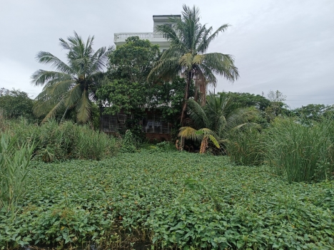 đg 6m . 126m ngang 6 hợp đức  đồ Sơn  1,x tr m