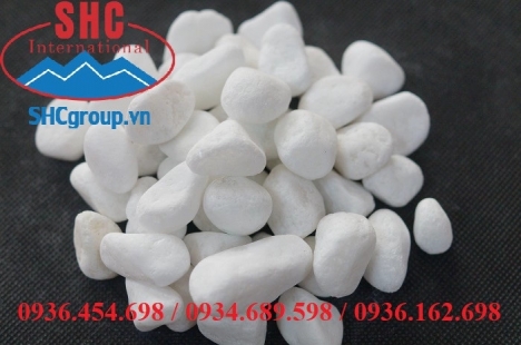 Sỏi trắng trang trí mua ở đâu