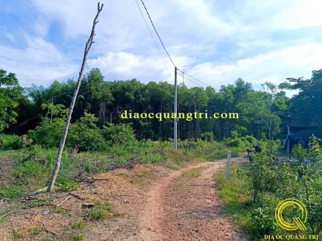 Đất kiệt Bảo Đại, Triệu Ái, Triệu Phong, Quảng Trị