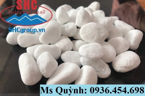 Sỏi trắng trang trí mua ở đâu