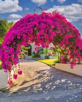 Sỏi trang trí villa, biệt thự