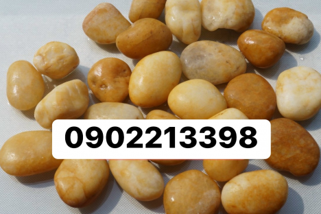 Sỏi tự nhiên rải lối đi bể cá