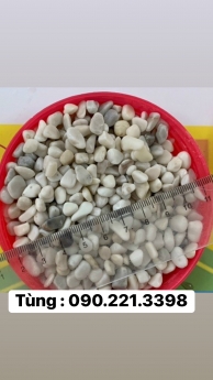 Sỏi tự nhiên rải lối đi bể cá