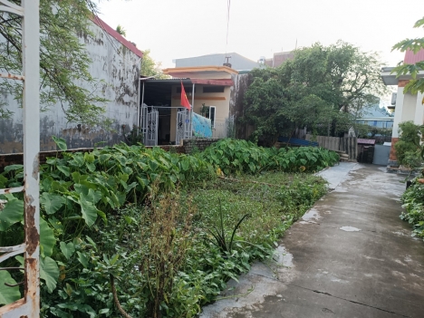 chi có 8xx tr trà khê Anh dũng chủ chuyển nhượng giá mềm như kẹo céo .