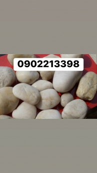 Sỏi tự nhiên rải lối đi bể cá