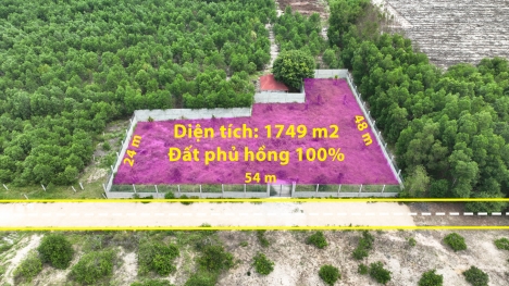 HOT: Chính chủ cần bán lô đất 54x48m thuộc xã Sơn Mỹ, huyện Hàm Tân giá đầu tư