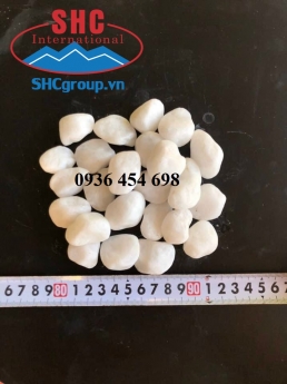 Sỏi trắng trang trí mua ở đâu