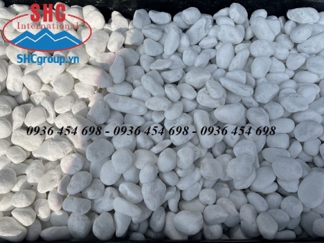 Sỏi trắng trang trí mua ở đâu